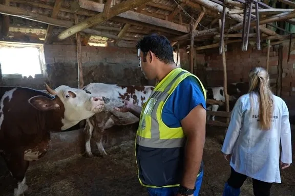 Denizli Büyükşehir’den üreticilere ücretsiz veterinerlik desteği