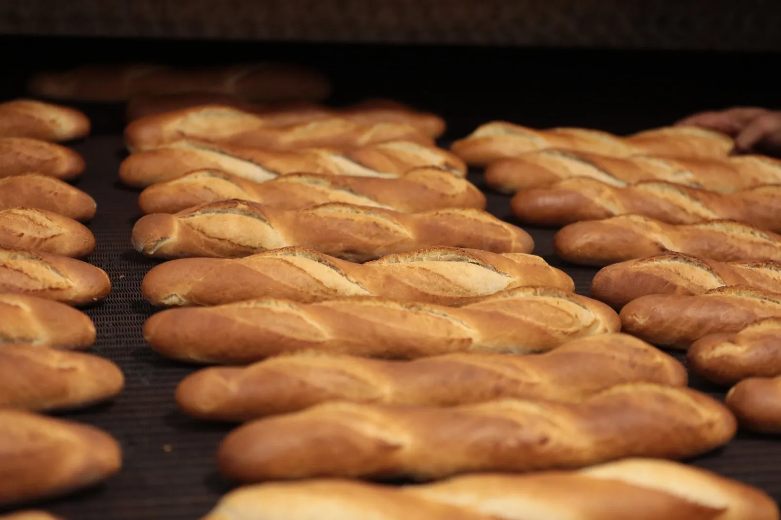 İstanbul Halk Ekmek