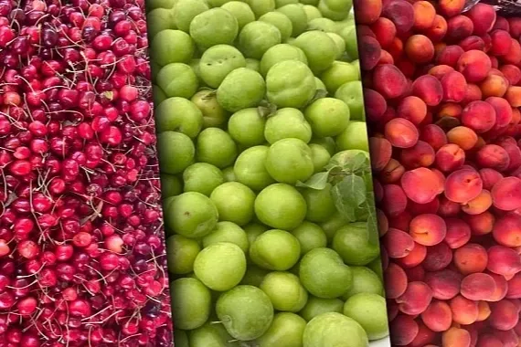 Tarım ÜFE aylık azaldı, yıllık arttı! En yüksek artış yumuşak ve sert çekirdekli meyvelerde