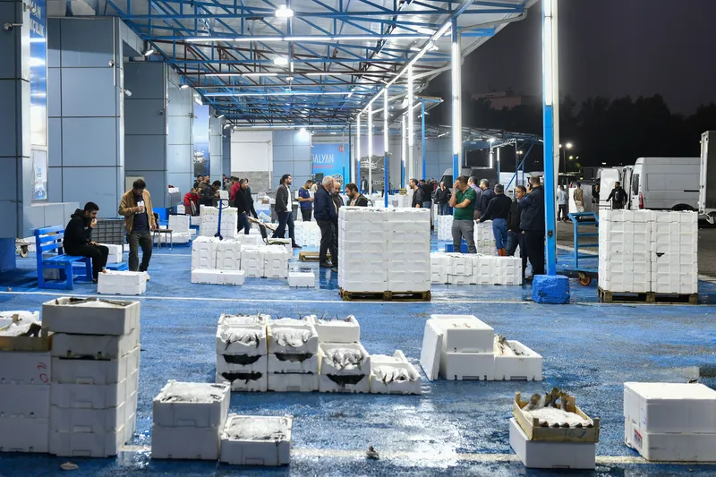 BALIK AVI SEZONU AÇILDI