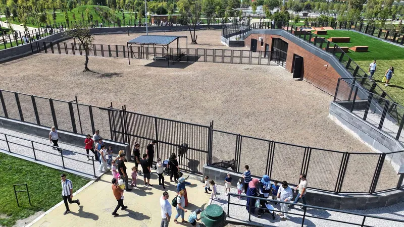 ANKARALILARIN YENİ GÖZDESİ: ATATÜRK ÇOCUKLARI VE DOĞAL YAŞAM PARKI