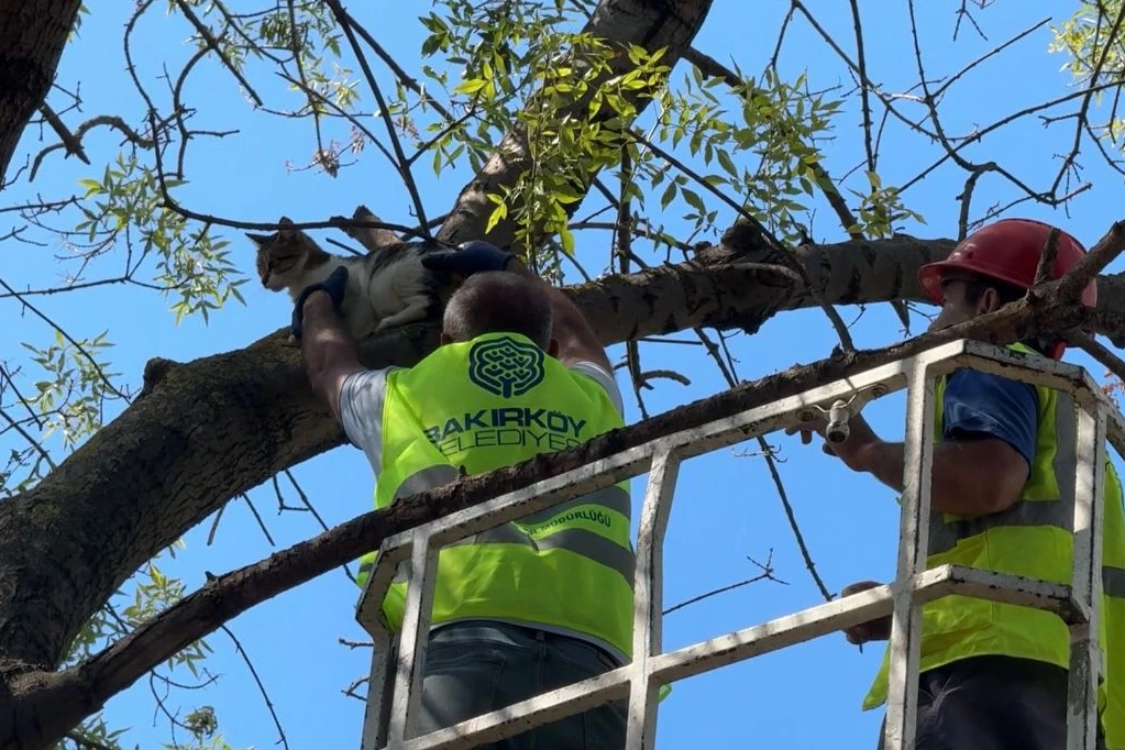 İstanbul Bakırköy