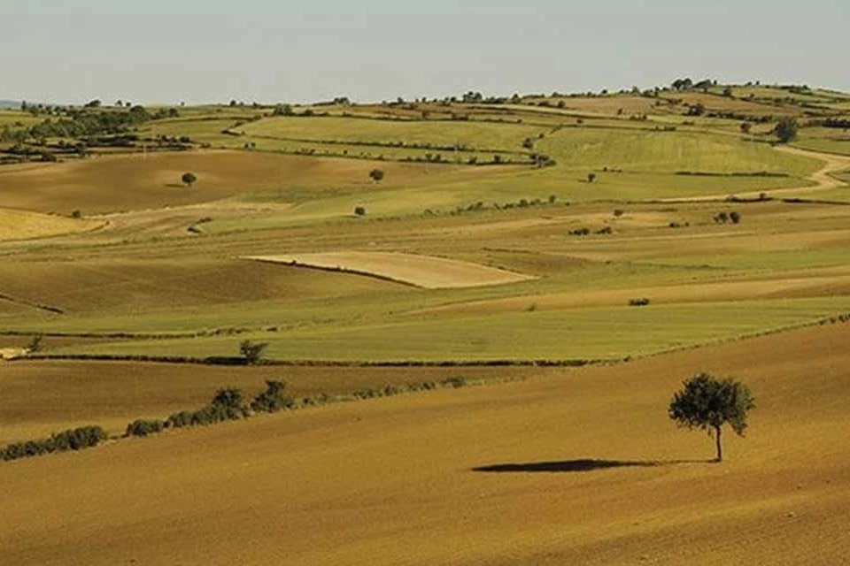 Atıl arazileri bulunan arazi sahipleri dikkat! Son gün 15 Ekim