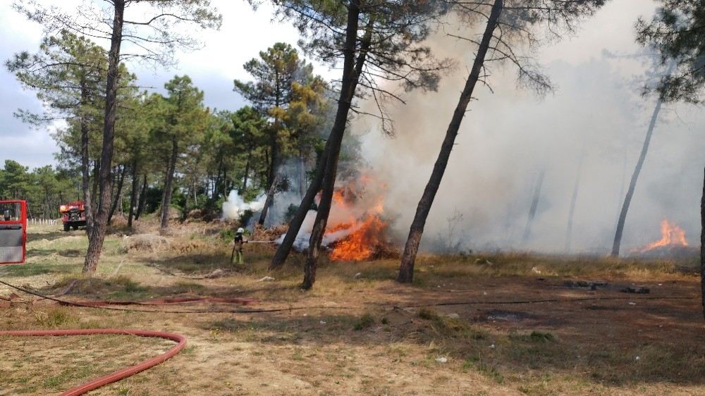 Arnavutköyde Ormanlık Alanlık Alanda Yangın