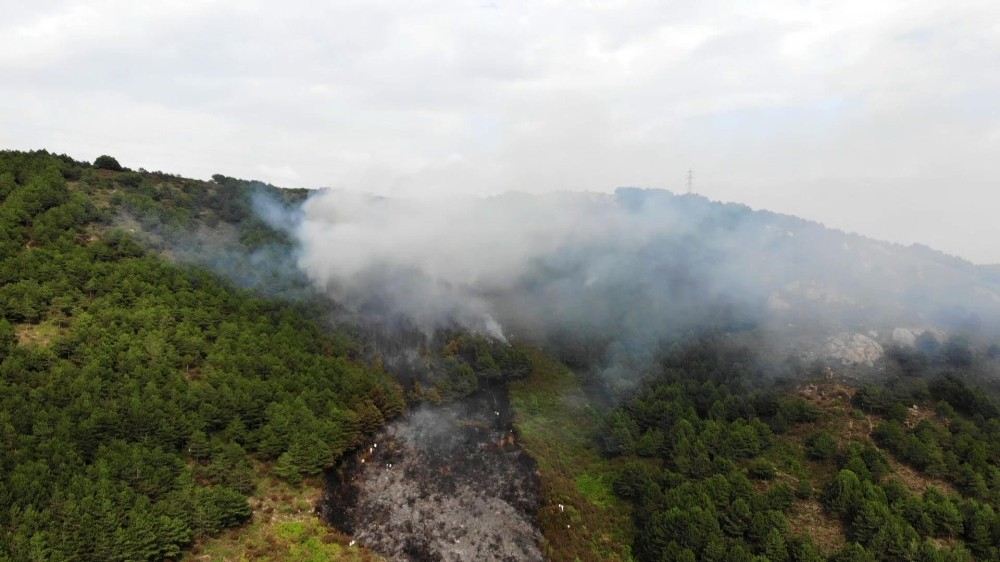 Aydos Ormanında Çıkan Yangın Havadan Görüntülendi