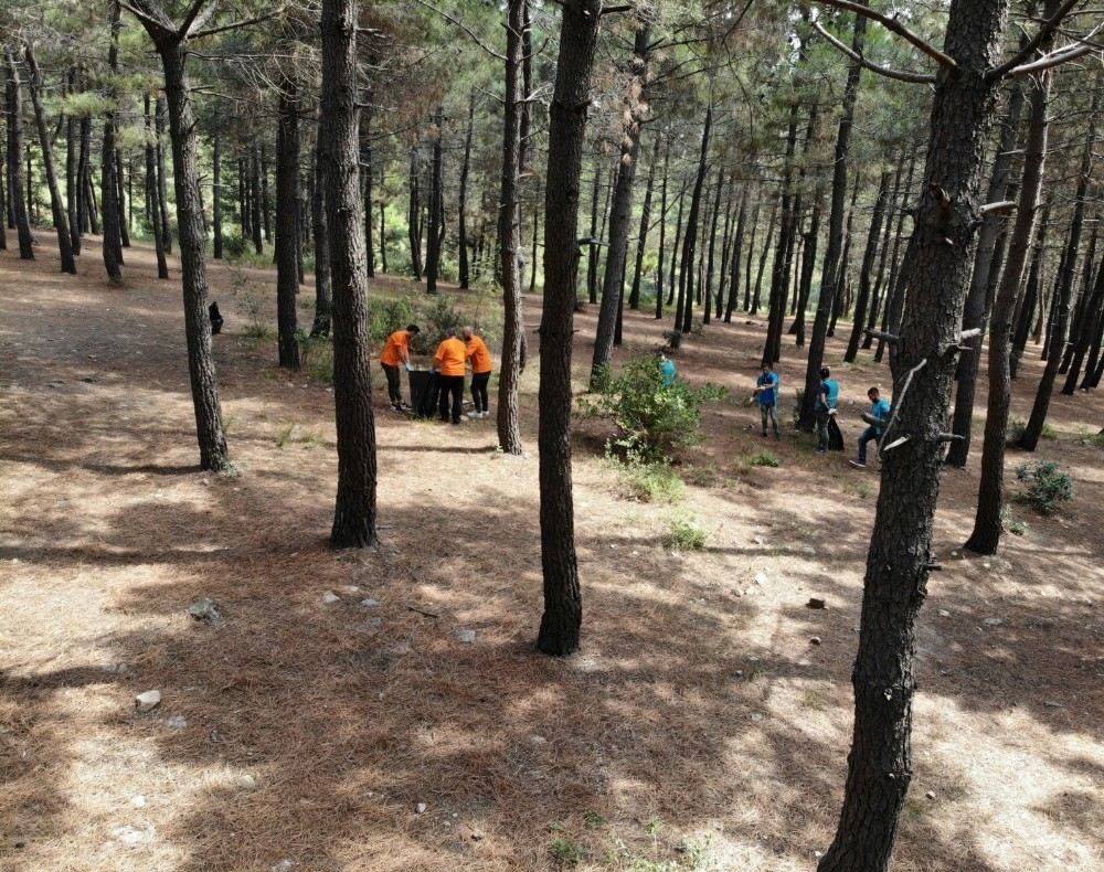 Aydos Ormanında Denetimli Serbestlik Yükümlüleri Çevre Temizliği Yaptı