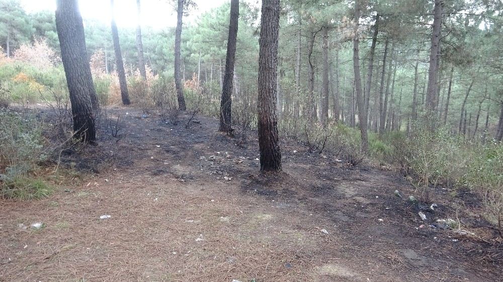 Aydos Ormanında Üç Ayrı Noktada Yangın Çıktı