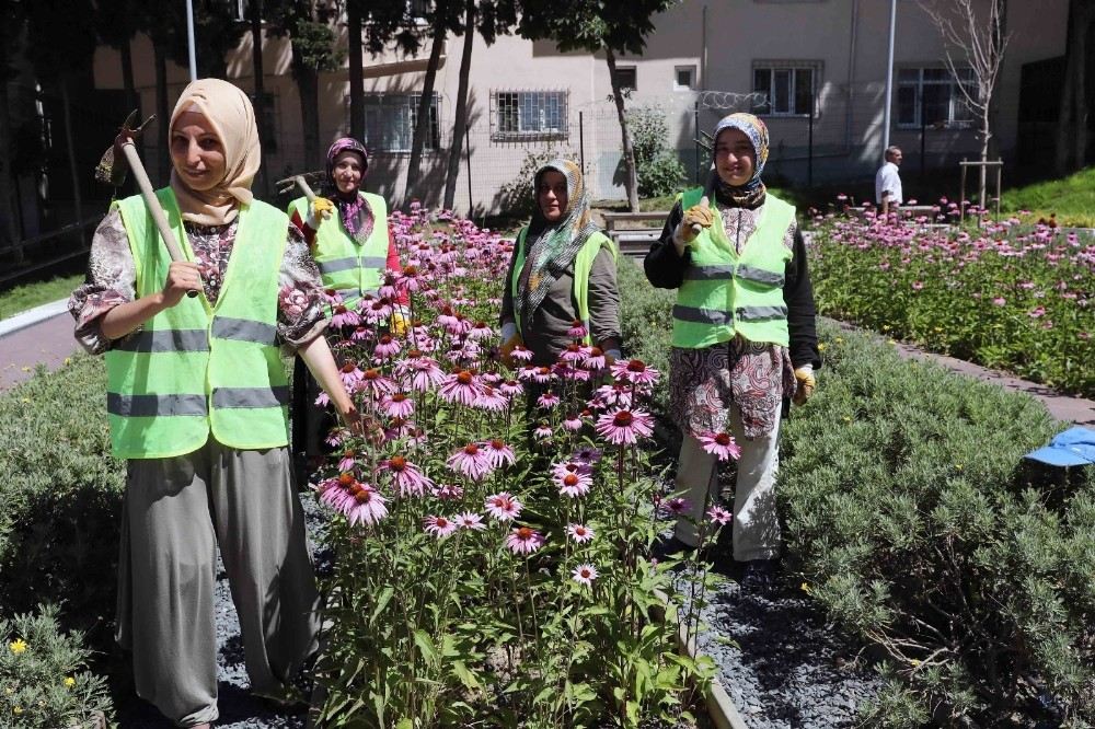 Bağcılarda Park Ve Bahçelere Kadın Eli Değdi