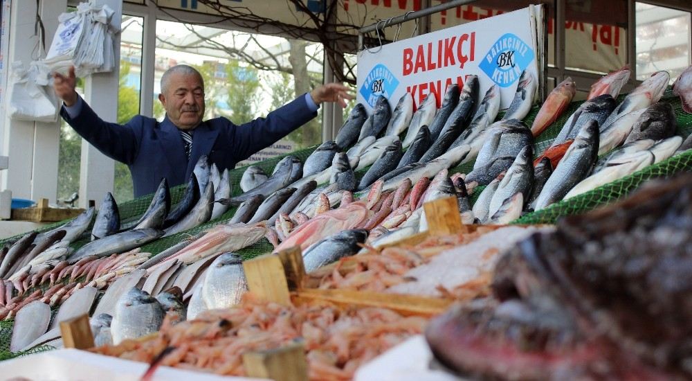 Balık Sezonu Kapandı