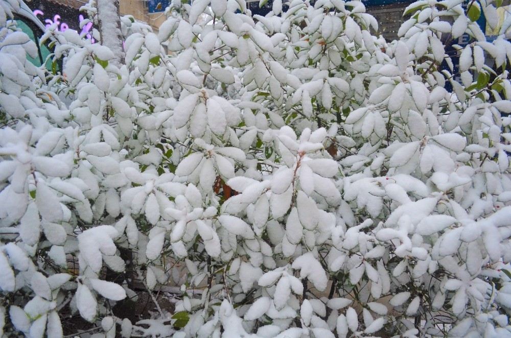 Balkanlar Üzerinden Yeni Soğuk Hava Dalgası