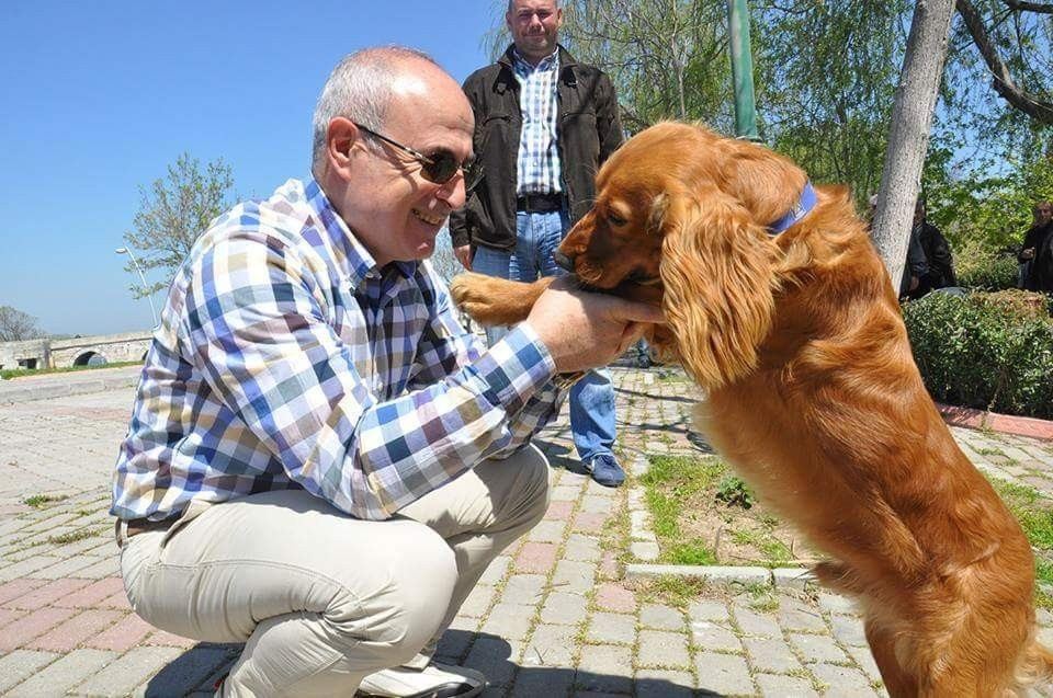 Başkan Akgün: Hiçbir Sokak Hayvanı Aç Ve Susuz Kalmayacak