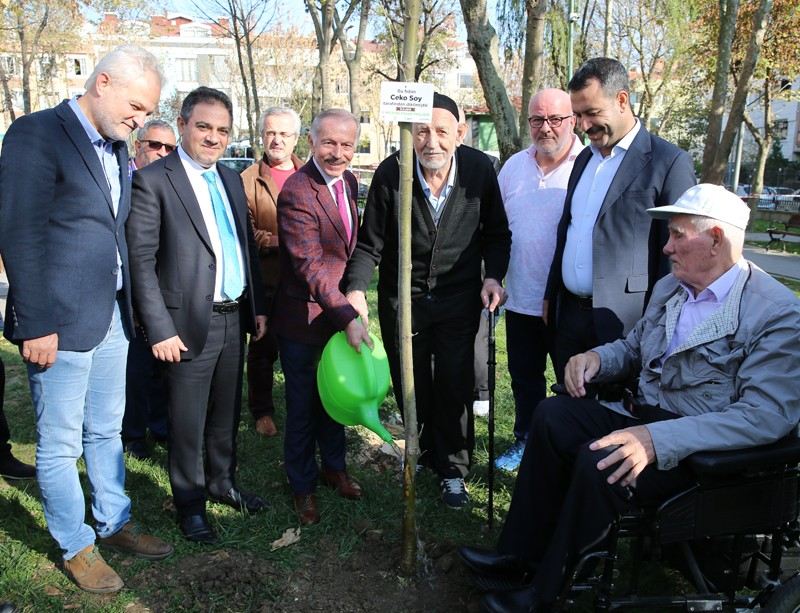 Başkan Aydıner, Ağaç Dikti