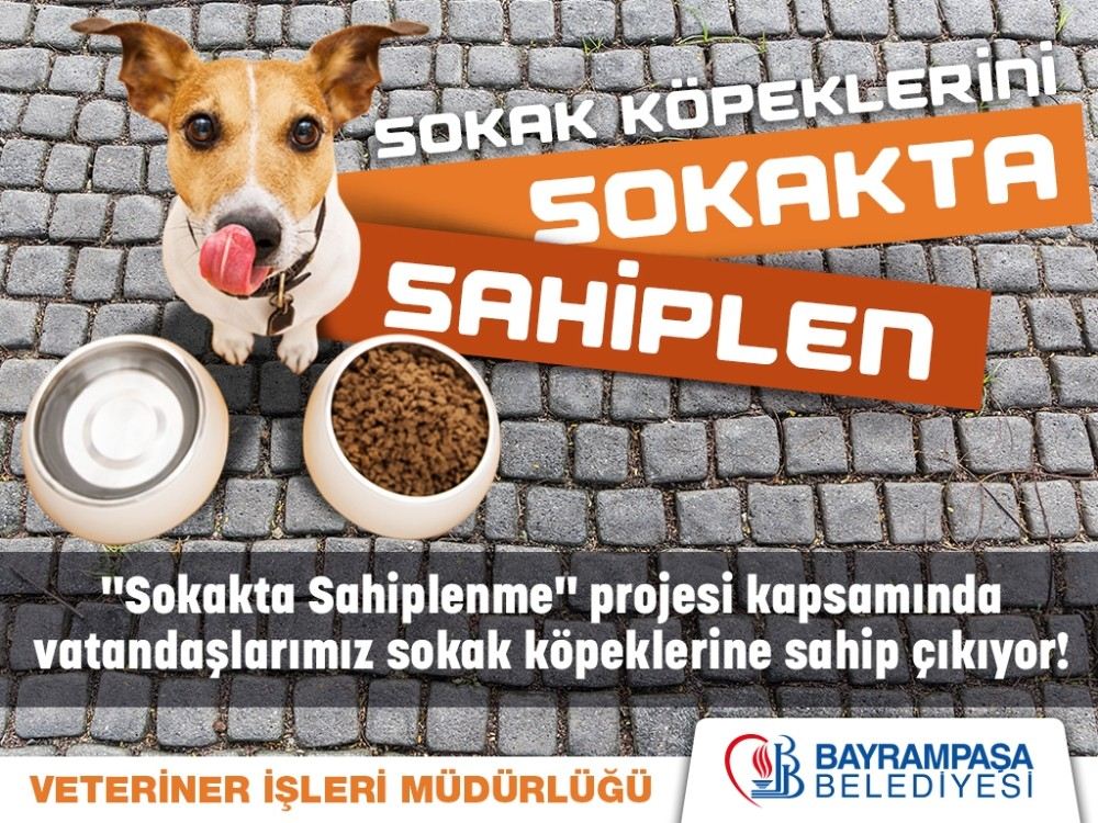 Bayrampaşada Sokak Köpekleri Sahipsiz Değil