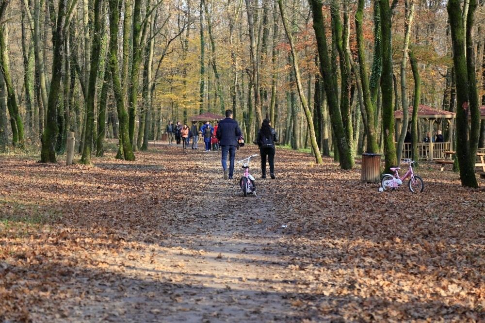 Bir Yılda 47 Kilometre Yol Yapıldı