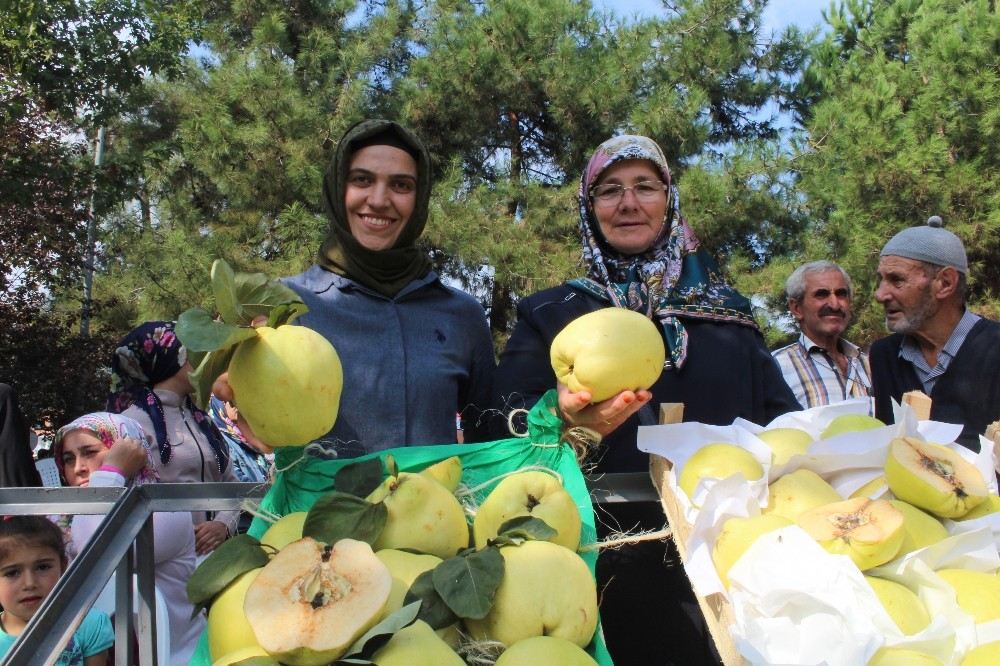 Bu Festivalde En Güzel Ayvalar Yarıştı