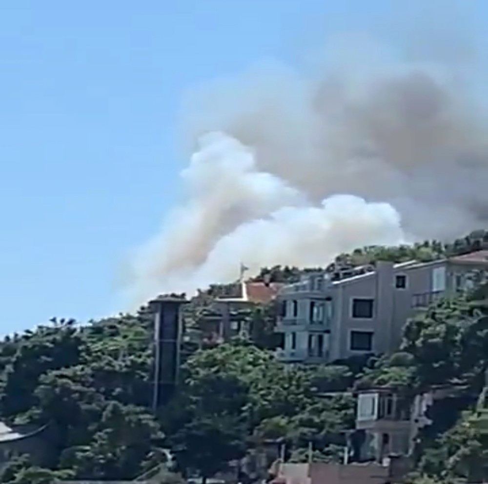 Burgazadada Korkutan Orman Yangını