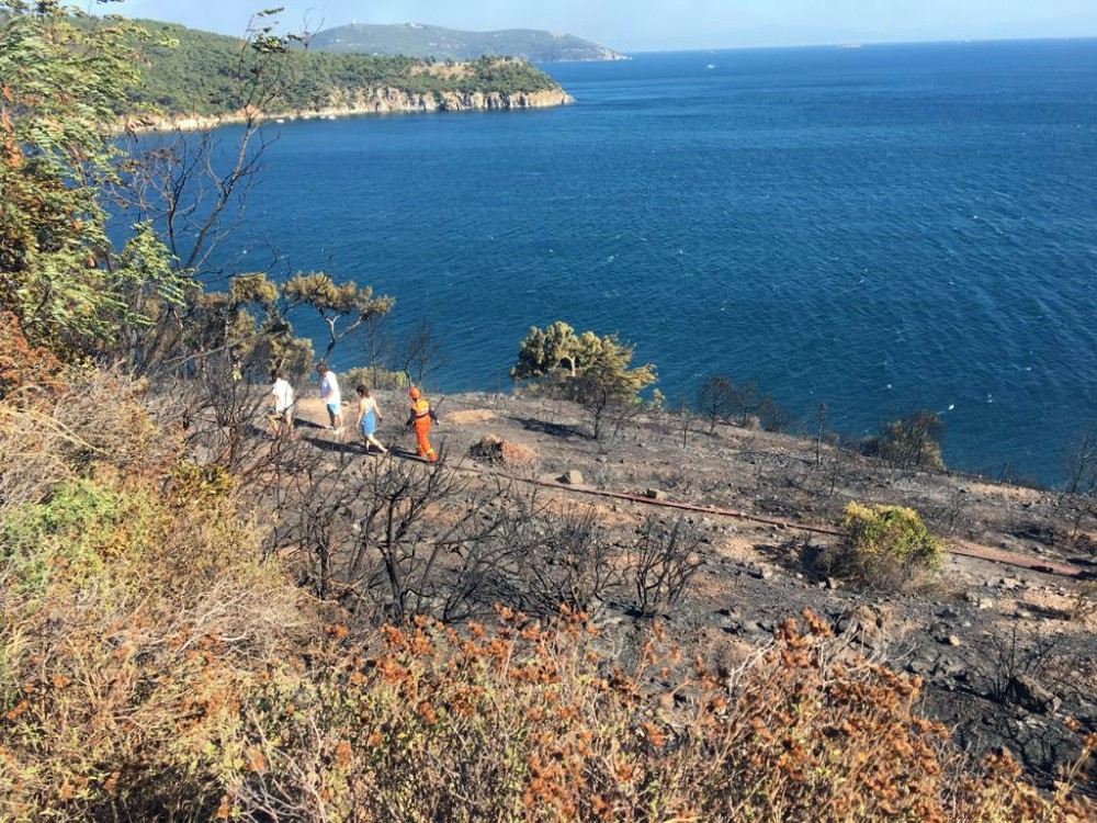 Burgazadada Orman Yangını Kontrol Altına Alındı