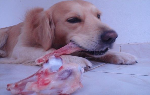 Büyükşehir Uyardı: 