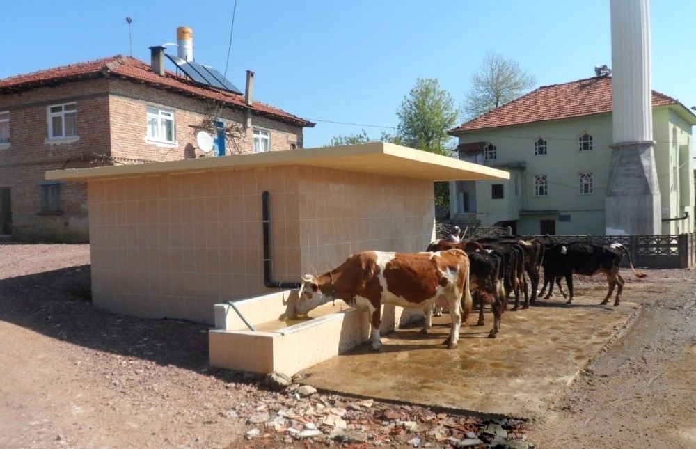 Büyükşehirden Köylere Sulama Desteği