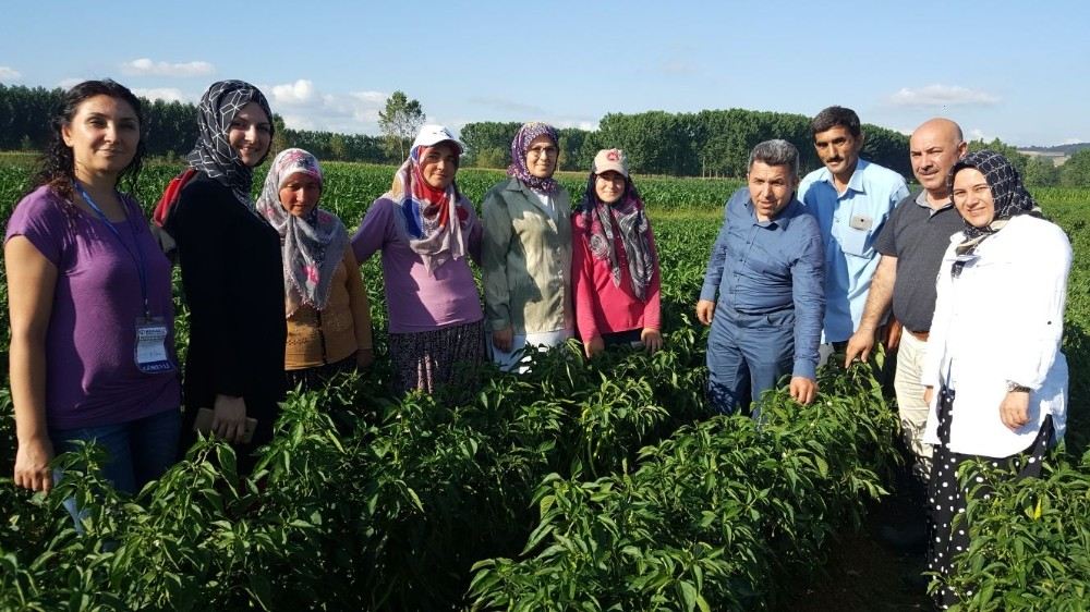 Büyükşehirden Yerli Ürün Teşviği