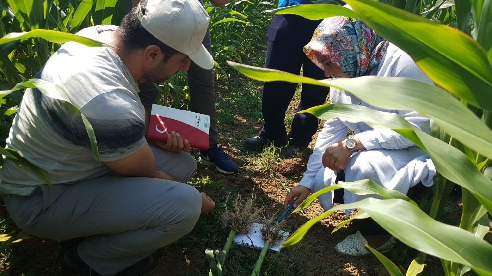 Büyükşehirin Çiftçiye Desteği Sürüyor