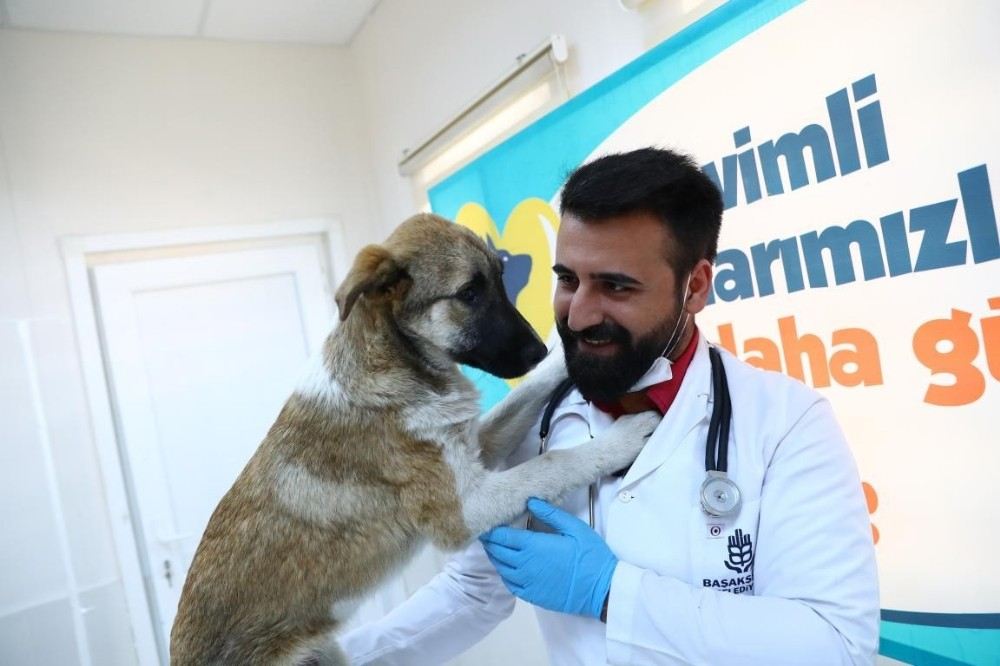 Çakılın Gözleri Başakşehirde Açıldı