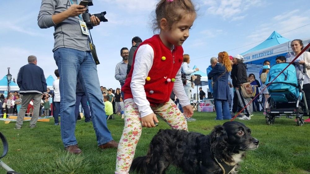 Çocuklar Hayvanlarla Mutlu Pati Şenliğinde Buluştu