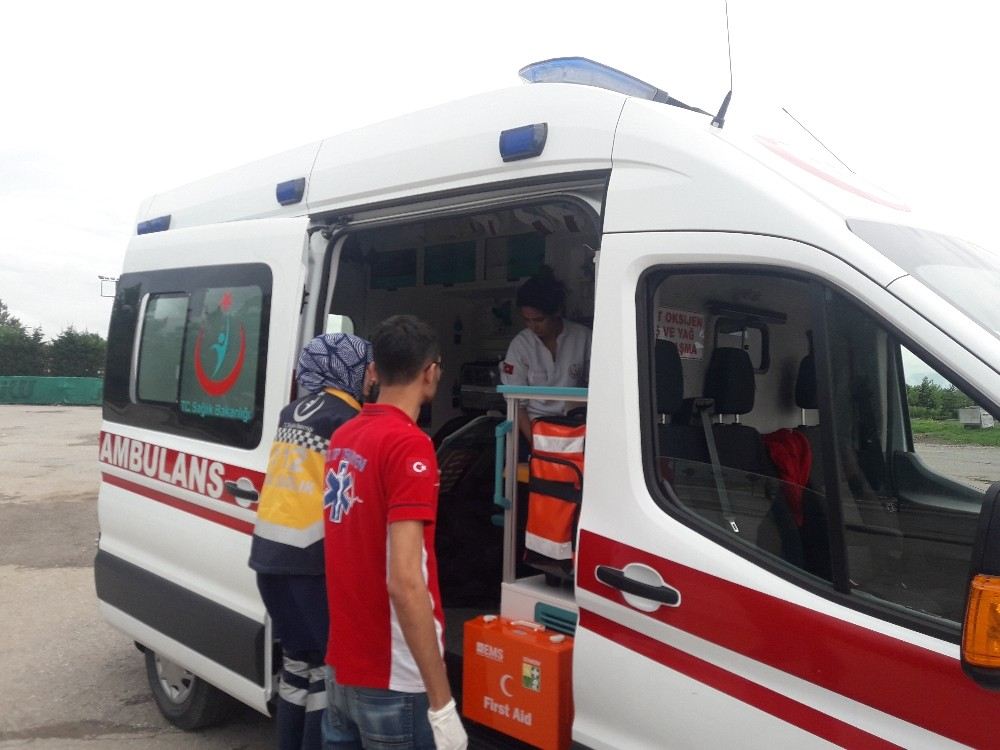 Dereye Düşen Şahsı Ağaç Dalı Uzatarak Kurtardı