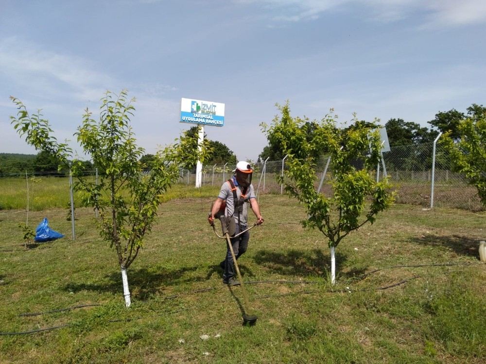 Durhasan Uygulama Bahçesi Bakıma Alındı