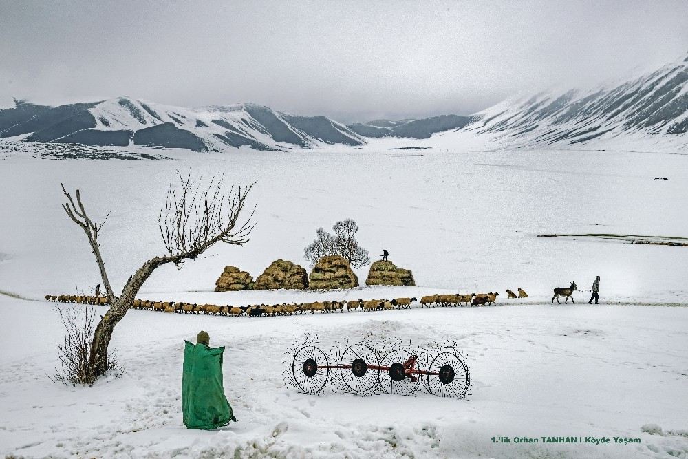 En İyi ?Tarım Fotoğrafları