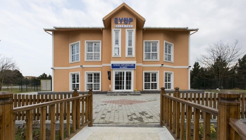 Eyüpsultanda Sokak Hayvanları Kliniği Haftanın 6 Günü Hizmet Veriyor