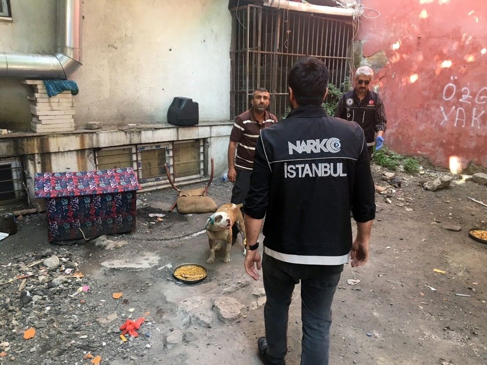 Fatihte Nefes Kesen Narkotik Operasyonu