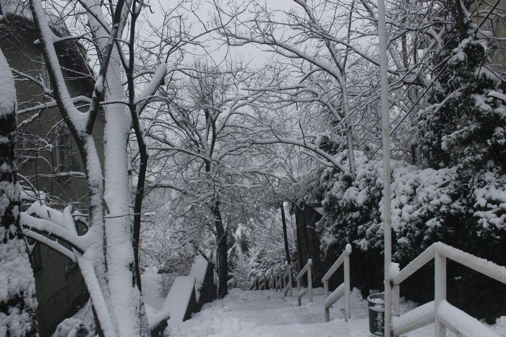 Gece Boyunca Etkili Olan Kar İstanbulu Beyaza Bürüdü