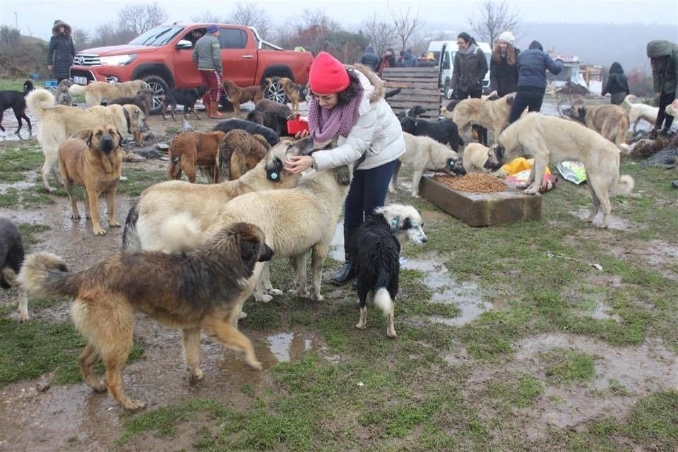 Gençler 200 Bin Saatlik Gönüllülük Hizmeti Yapacak