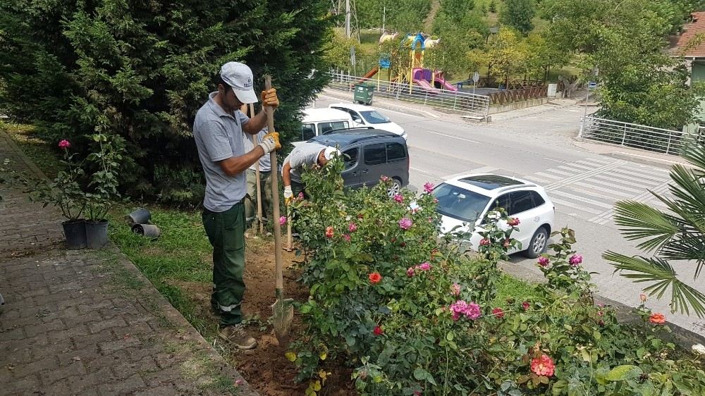 Gültepe Mahallesi Gül Bahçesine Dönüşüyor