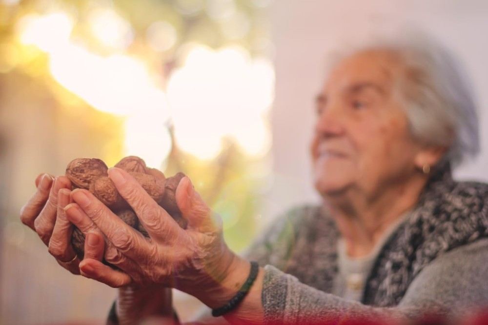Günlük Beslenmede Ceviz Tüketimi Yaşlıların Kilosunu Etkilemiyor