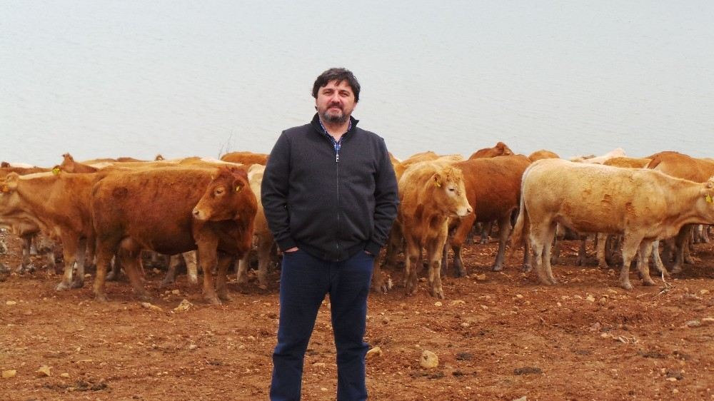 Hacıince: Et Fiyatında İstikrar İçin İthalat Yerine, Yerli Üretime Destek Zorunludur