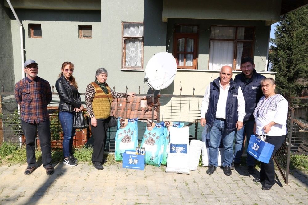 Hayvansever Derneklere Büyükşehirden Yardım Eli