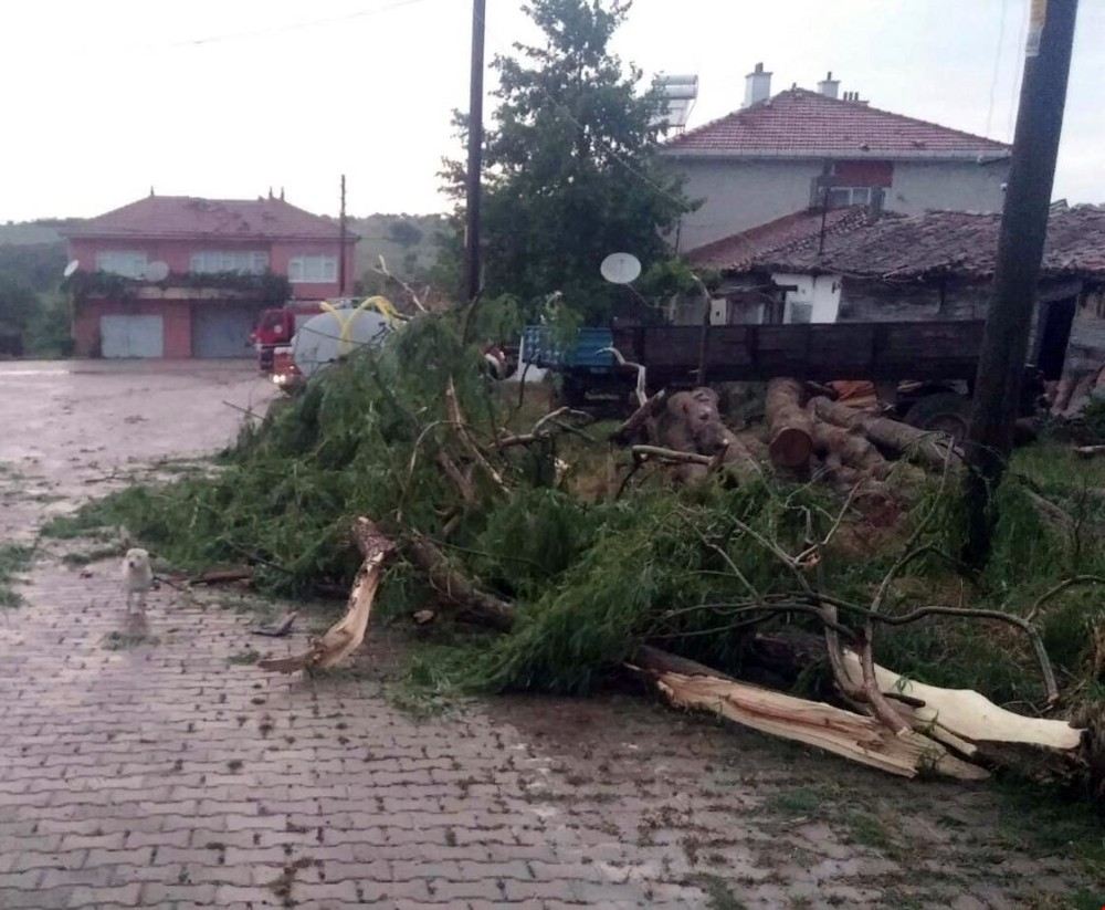 Hortum Mağdurlarına Yardım Eli