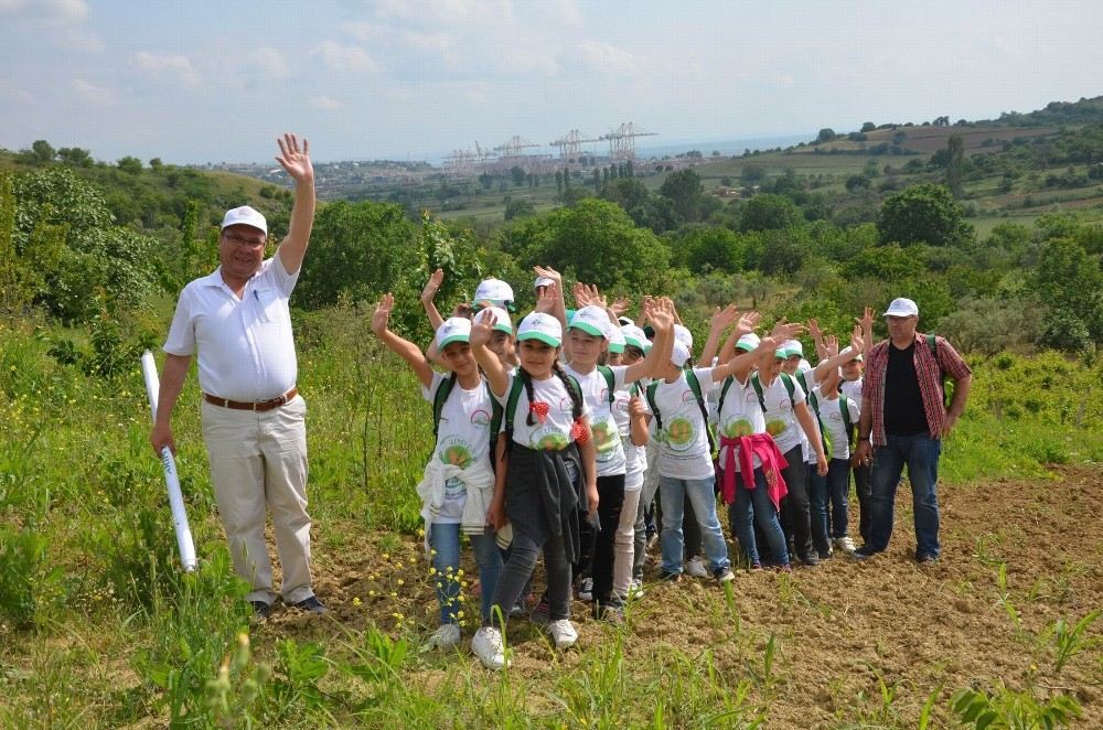 İlkokul Öğrencileri Tarım Ürünlerini Tarlada İnceledi