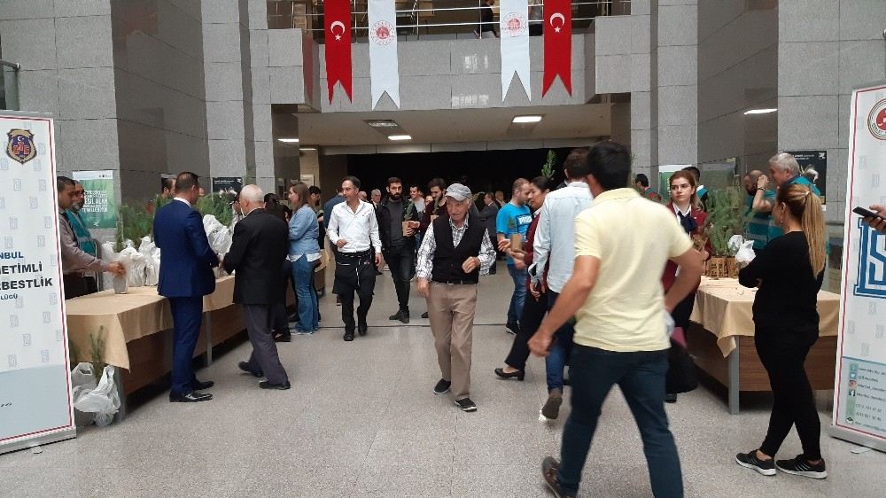 İstanbul Adalet Sarayında Bin Fidan Dağıtıldı
