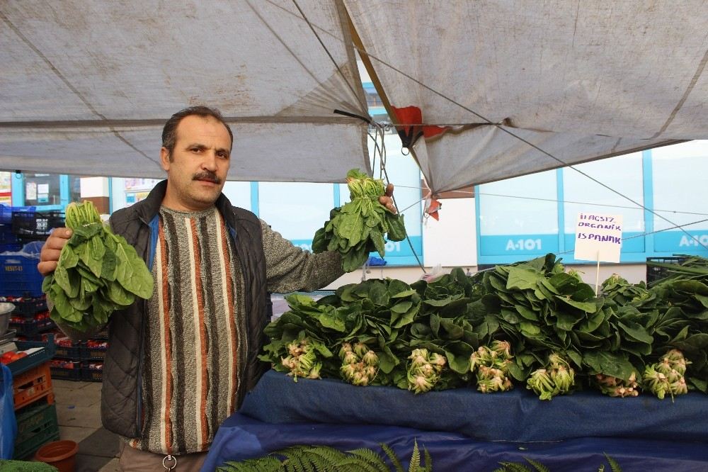 İstanbulda Ispanaklar Tezgahda Kaldı