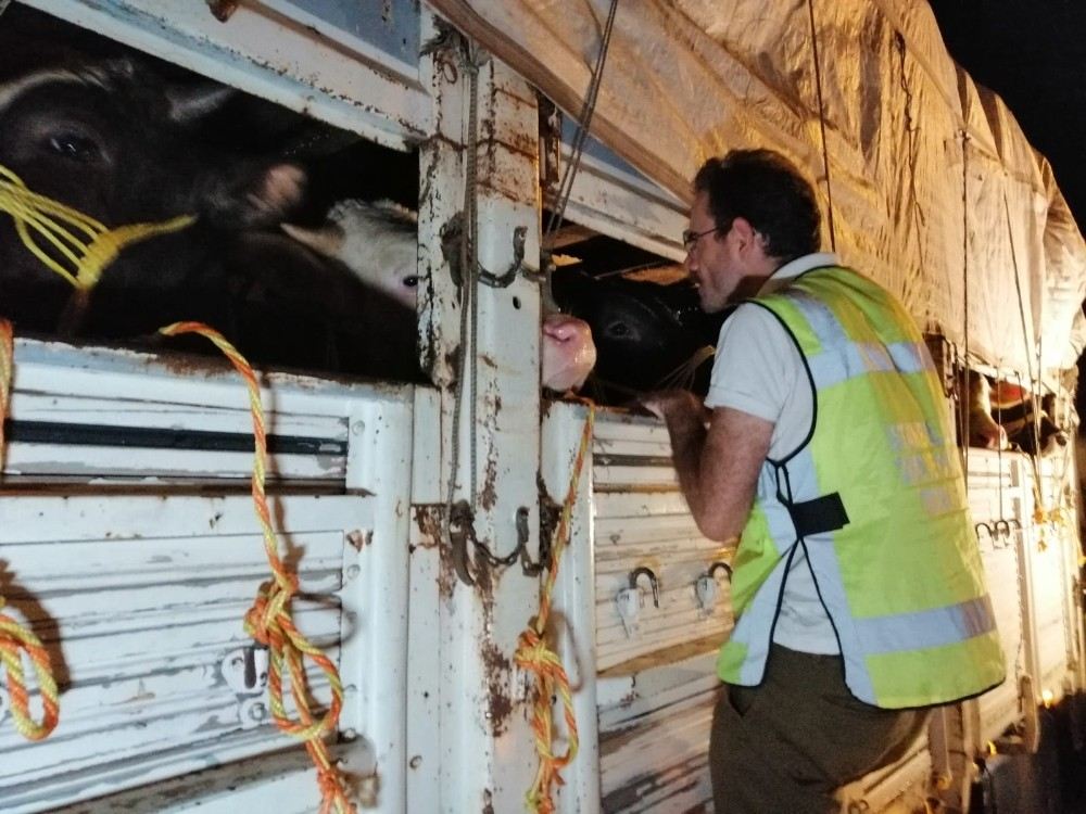 Kurban Denetimi Başladı