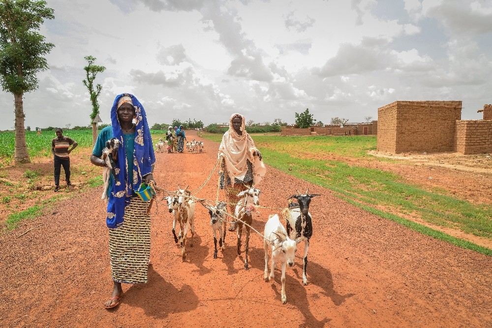İyilik Derneği, Afrikanın Derdine Süt Keçileri İle Koşuyor