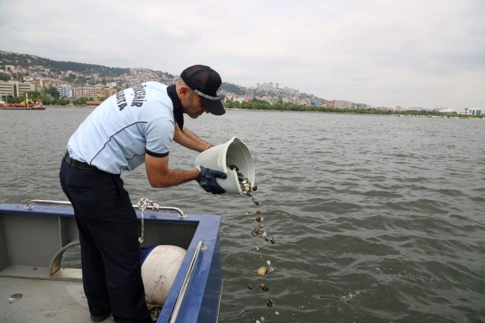 Kaçak Midye Avcılarına Baskın