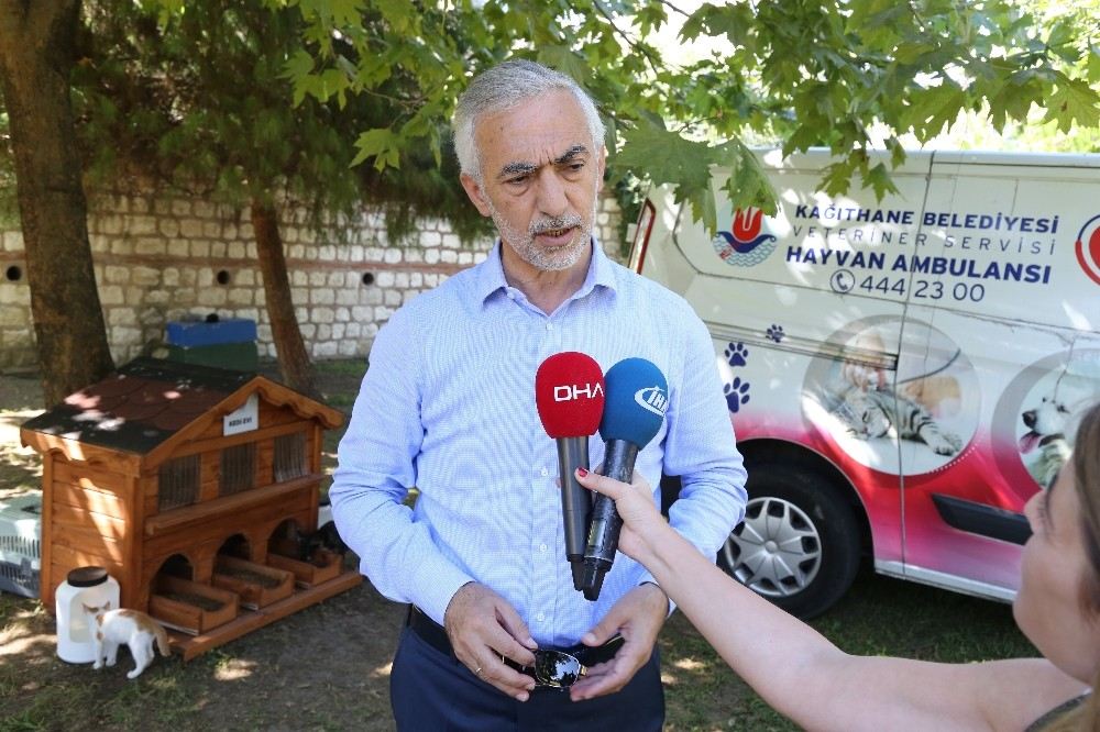 Kağıthanede Aşırı Sıcaktan Etkilenen Hayvanlar İçin Ambulans Hizmeti