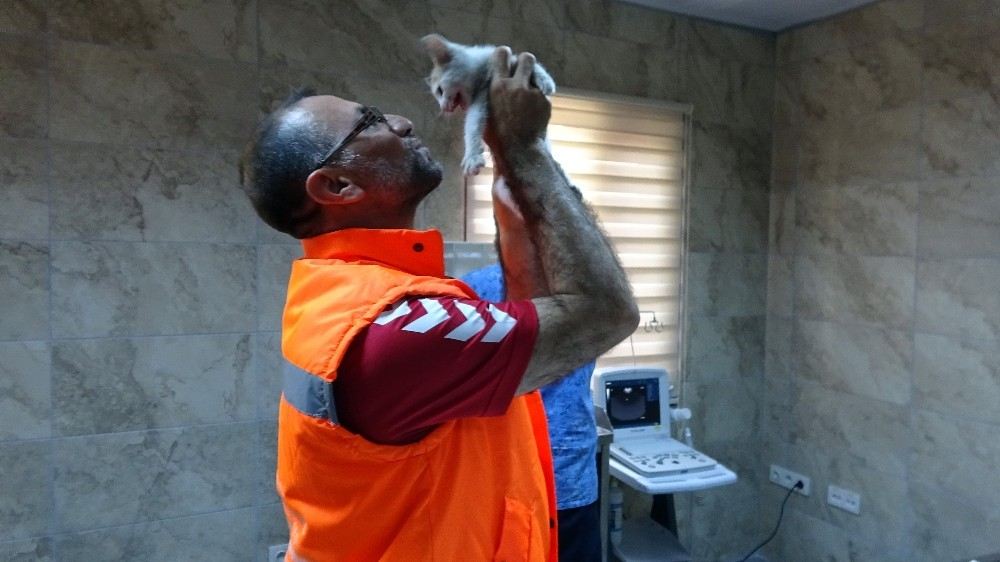 Kediyi Suni Teneffüsle Hayata Döndüren Belediye İşçisi O Anları Anlattı