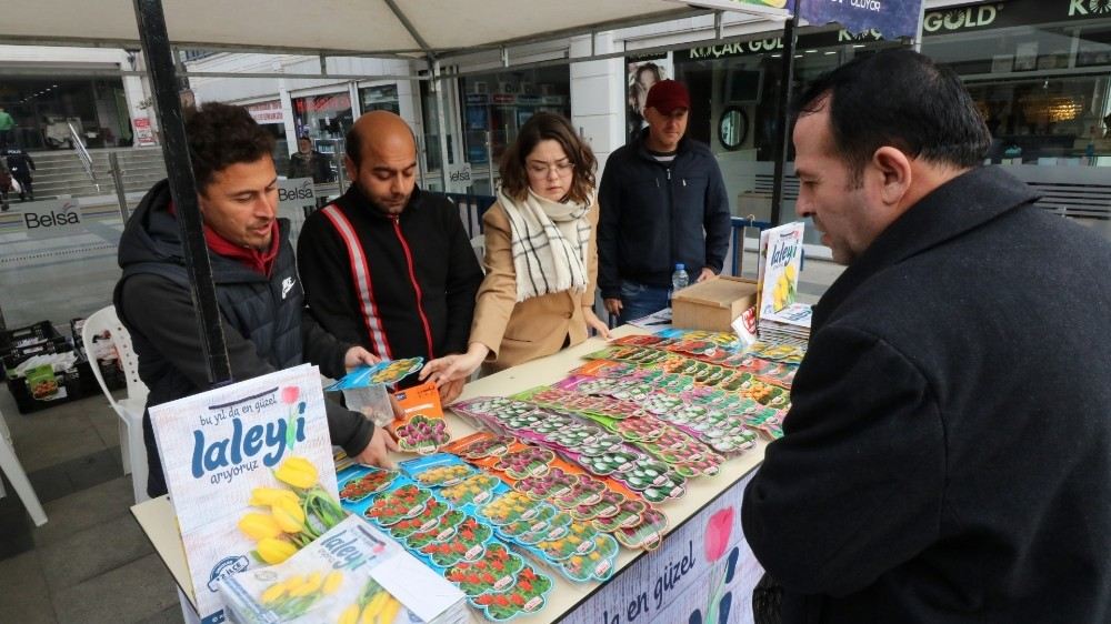 Kocaeildeki Lale Festivali İçin Satışlar Başladı