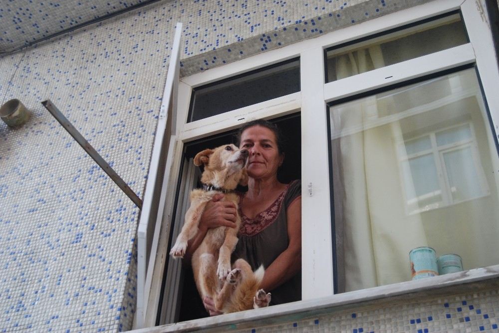 Köpek Havlaması Mahalleli İle İnşaat İşçilerini Birbirine Düşürdü