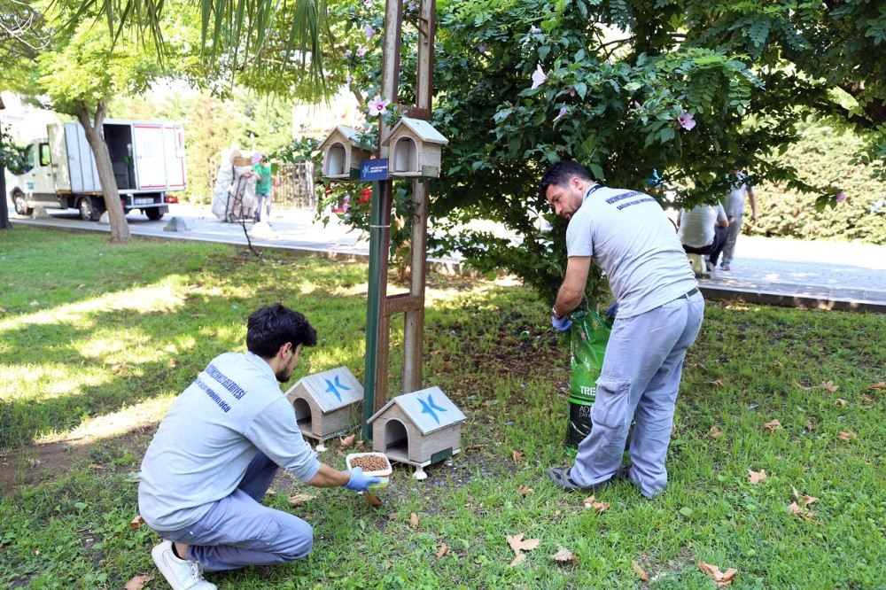 Küçükçekmecede Sokak Hayvanları Unutulmuyor